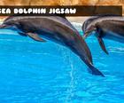 Jigsaw Cu Delfini De Mare