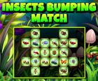 Insects Bumping Match