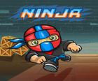 Mini Ninja