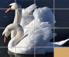 Animals Slide Puzzle
