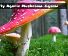 Fly Agaric Mushroom