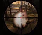 Klassisen Rabbit Sniper Metsästys 2019