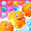 Shell Splash Shell Splash