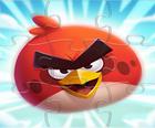 Angry Birds quebra-cabeça slides